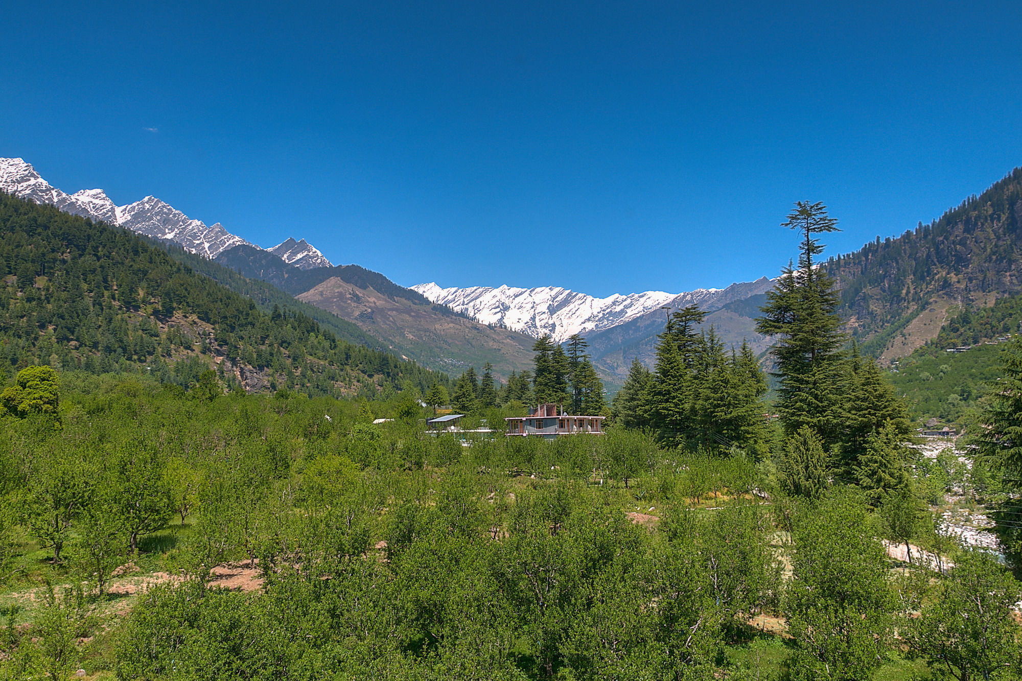 Treebo Trend Celebriti Manali Hotel Vashist Kültér fotó